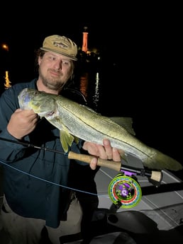 Snook Fishing in Jupiter, Florida