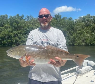 Redfish Fishing in Tampa, Florida