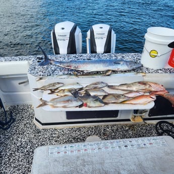 King Mackerel / Kingfish, Red Grouper, Scup / Porgy, Triggerfish Fishing in Riviera Beach, Florida
