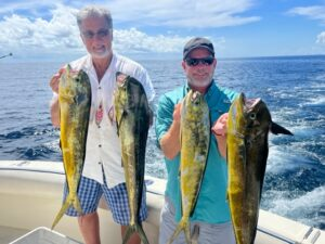 Mahi Mahi Fishing in Fort Lauderdale, Florida