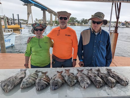 Sheepshead Fishing in Pensacola, Florida