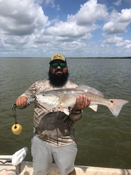 Redfish fishing in Matagorda, Texas