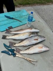 Fishing in Johns Island, South Carolina