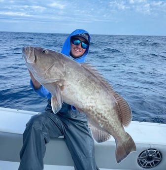 Gag Grouper fishing in Port Orange, Florida