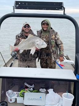 Black Drum Fishing in Port Aransas, Texas