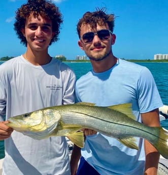 Snook fishing in Sarasota, Florida