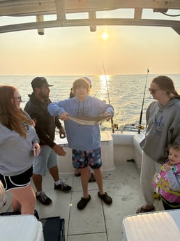 Cobia Fishing in Sneads Ferry, North Carolina