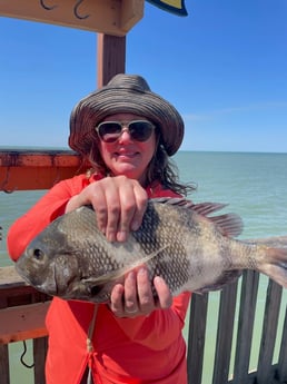 Redfish fishing in South Padre Island, Texas