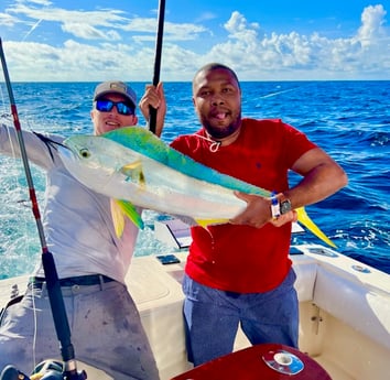 Mahi Mahi / Dorado fishing in Key West, Florida