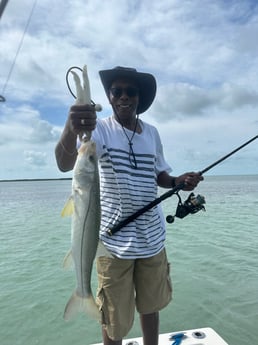 Snook Fishing in Key Largo, Florida