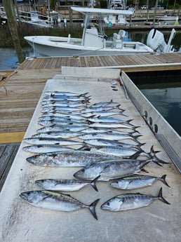 Fishing in Wrightsville Beach, North Carolina