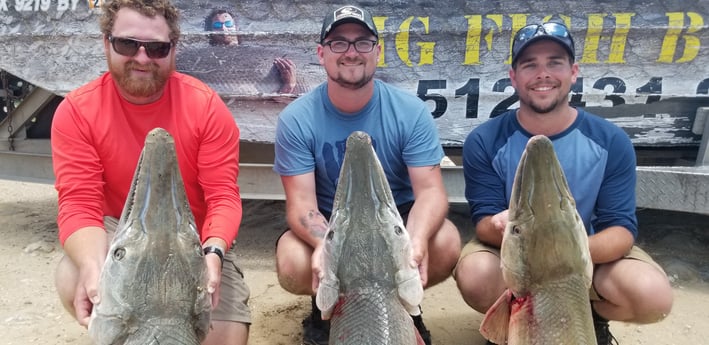 Alligator Gar fishing in Livingston, Texas