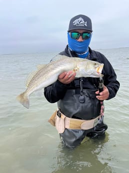 Speckled Trout Fishing in South Padre Island, Texas