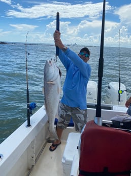 Redfish fishing in Galveston, Texas