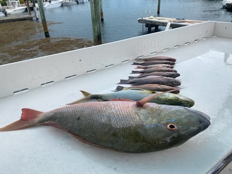 Fishing in Key West, Florida