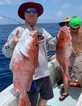 Red Snapper fishing in Galveston, Texas