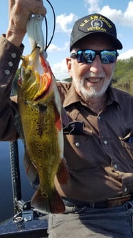 Peacock Bass Fishing in Fort Lauderdale, Florida