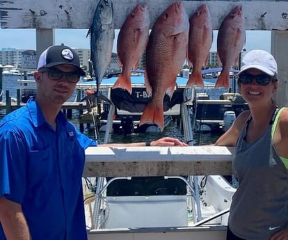 Little Tunny / False Albacore, Red Snapper fishing in Destin, Florida