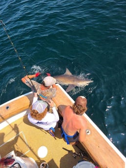 Blacktip Shark Fishing in Destin, Florida