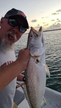 Speckled Trout / Spotted Seatrout fishing in Port O&#039;Connor, Texas