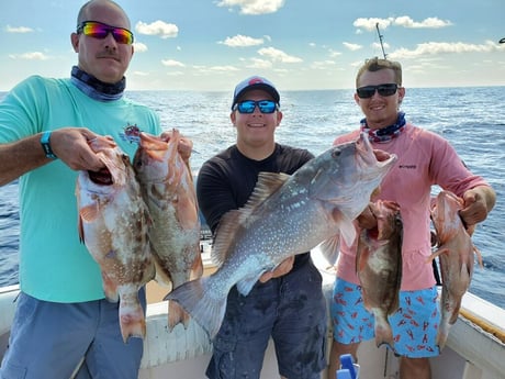 Red Grouper fishing in Clearwater, Florida