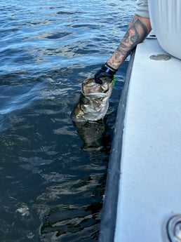 Fishing in Fort Myers, Florida