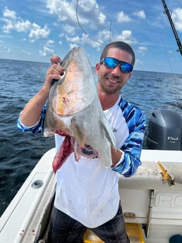 Amberjack Fishing in Pensacola, Florida