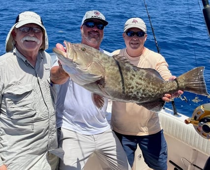 Gag Grouper fishing in Clearwater, Florida