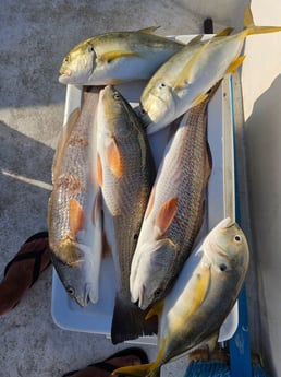 Fishing in Cedar Key, Florida