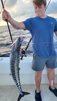 Wahoo fishing in Pompano Beach, Florida