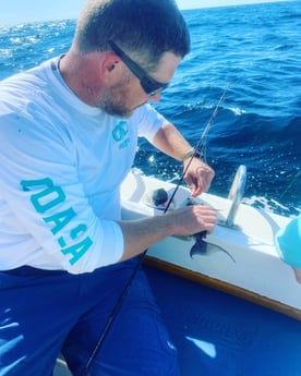 Triggerfish fishing in Destin, Florida