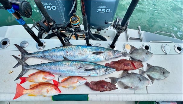 Fishing in New Smyrna Beach, Florida