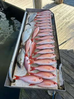 Fishing in Fort Lauderdale, Florida