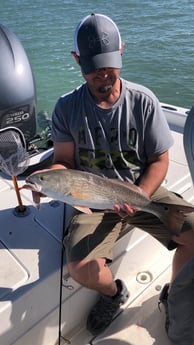 Redfish fishing in Key West, Florida