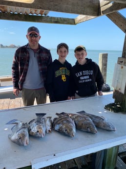 Redfish, Speckled Trout / Spotted Seatrout fishing in Galveston, Texas