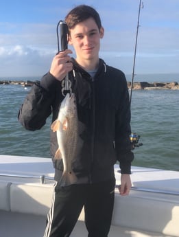 Redfish Fishing in Galveston, Texas