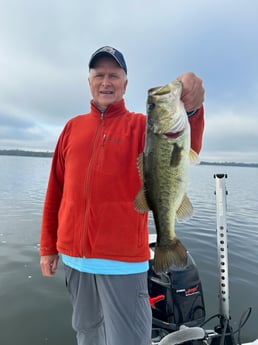 Largemouth Bass Fishing in Clearwater, Florida