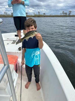 Fishing in Pensacola, Florida