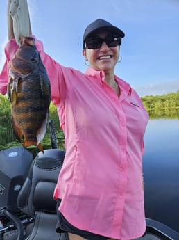 Cichlid Fishing in Fort Lauderdale, Florida