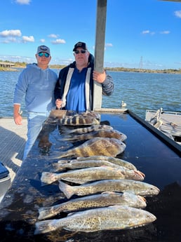 Sheepshead, Speckled Trout / Spotted Seatrout fishing in Galveston, Texas