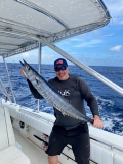 King Mackerel / Kingfish fishing in Pompano Beach, Florida