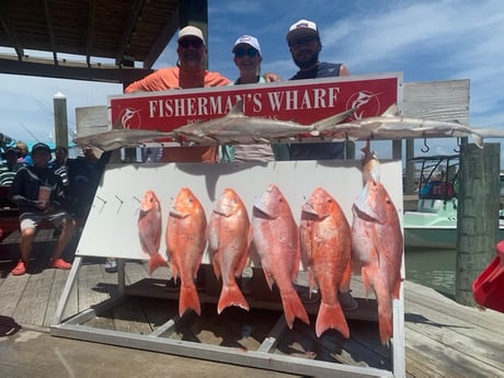 Red Snapper fishing in Port Aransas, Texas