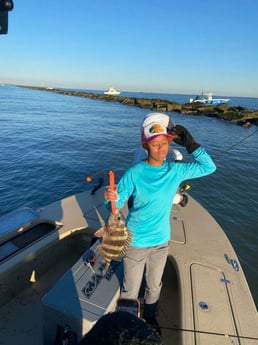 Sheepshead fishing in Galveston, Texas