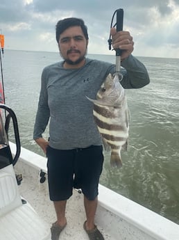 Sheepshead Fishing in Galveston, Texas