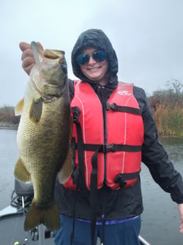 Largemouth Bass fishing in Austin, Texas