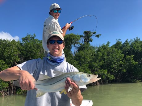 Snook fishing in Tavernier, Florida