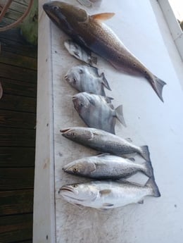 Fishing in Gulf Shores, Alabama