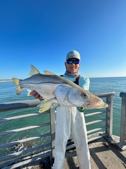 Snook Fishing in Melbourne Beach, Florida