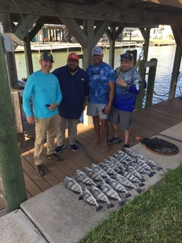 Black Drum fishing in Rockport, Texas