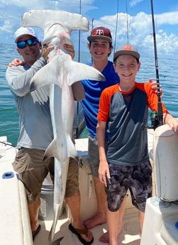 Hammerhead Shark fishing in Galveston, Texas